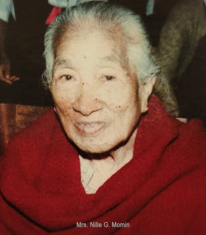 Nillie G Momin